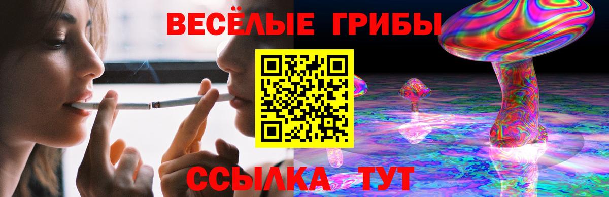 Псилоцибиновые грибы Psilocybe  Псилоцибиновые грибы Psilocybine cubensis  Павловский Посад  Вход с VPN 